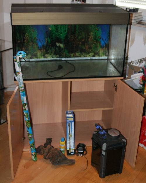 verschiedene aquarien