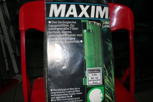 maximal