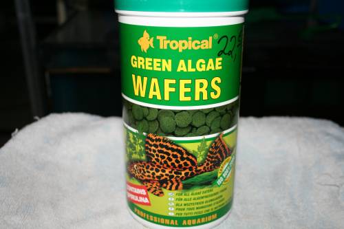tropical futter